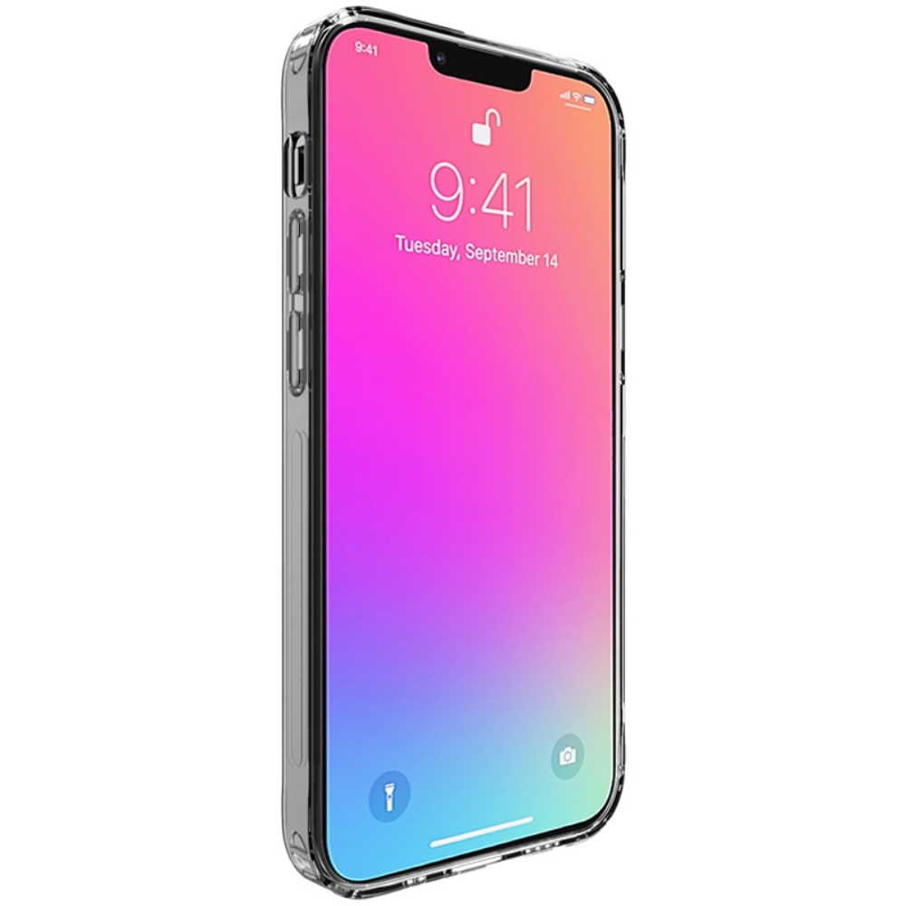Coque TPU Case iPhone 13 Pro, Transparent