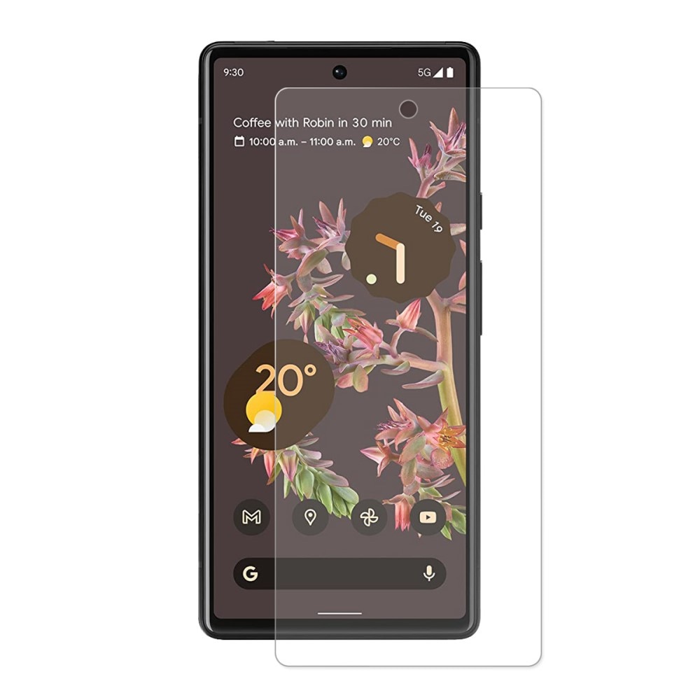 Protecteur d'écran en verre trempé 0.3mm Google Pixel 6