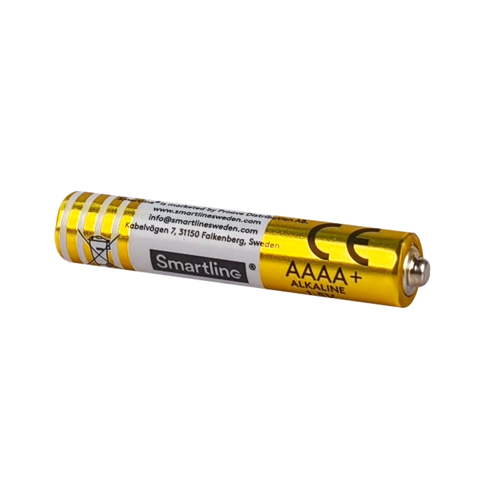 Pile alcaline AAAA LR61 (4 pièces)