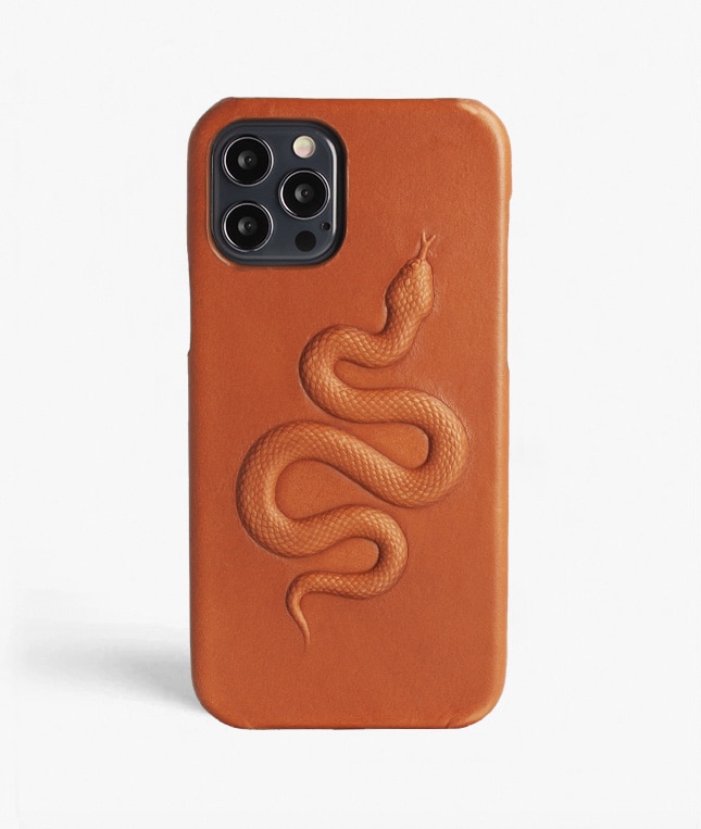 Coque iPhone 12/iPhone 12 Pro Snake Marron