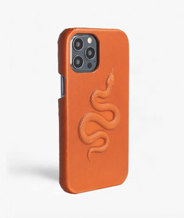 Coque iPhone 12/iPhone 12 Pro Snake Marron