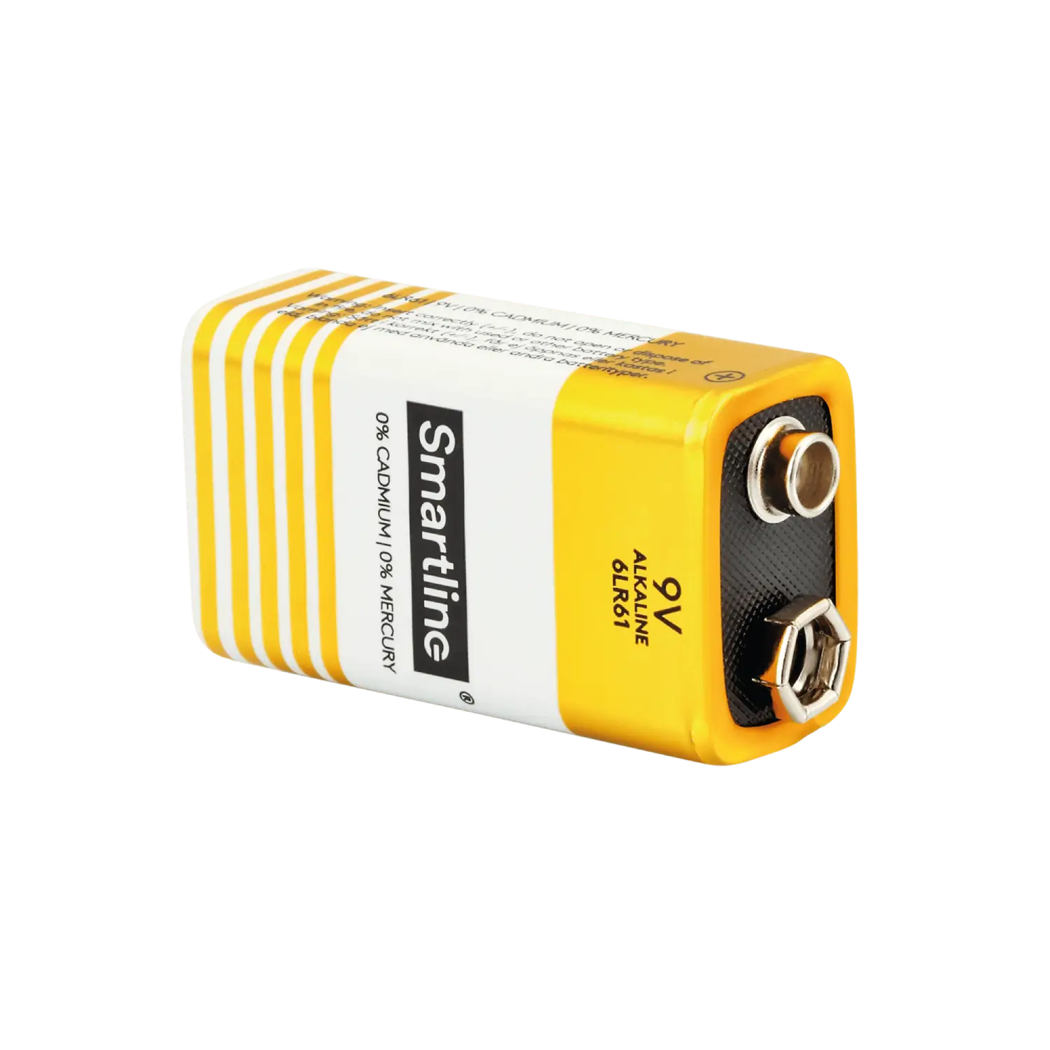 Pile alcaline 9V 6LR61 (2 pièces)