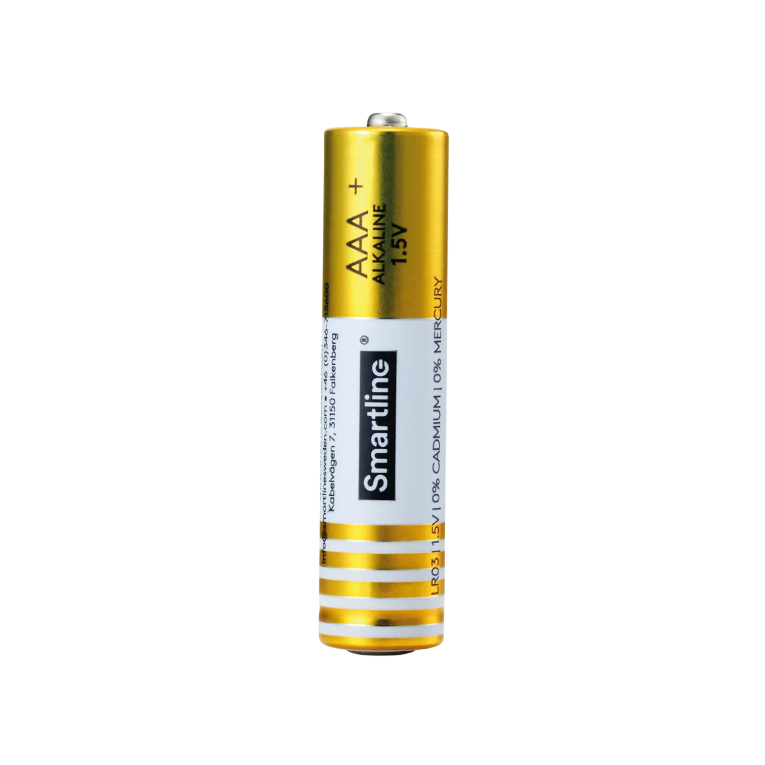 Pile alcaline AAA LR03 (10 pièces)