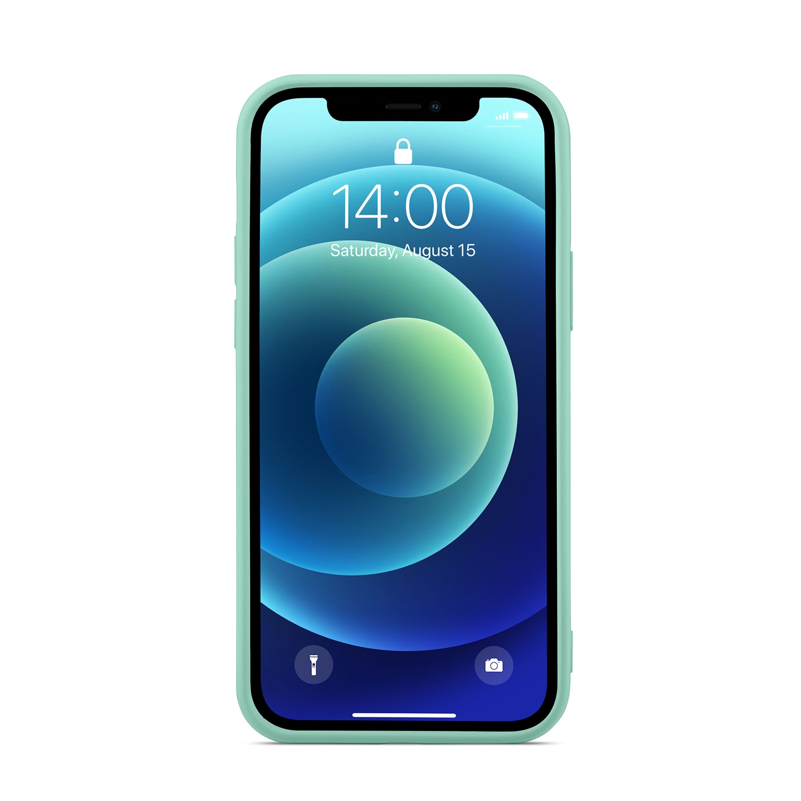 Coque TPU iPhone 12/iPhone 12 Pro, Vert