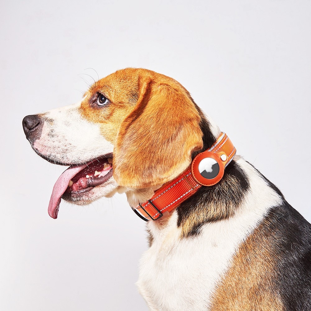 Apple AirTag Collier pour Chien avec Réflecteur S, noir