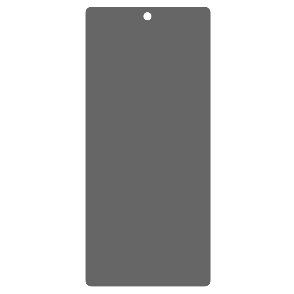 Protecteur d'écran de confidentialité en verre trempé Google Pixel 7 Noir