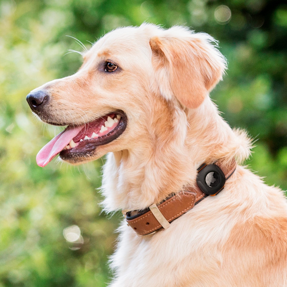 Coque pour Apple AirTag étanche pour collier de chien, noir