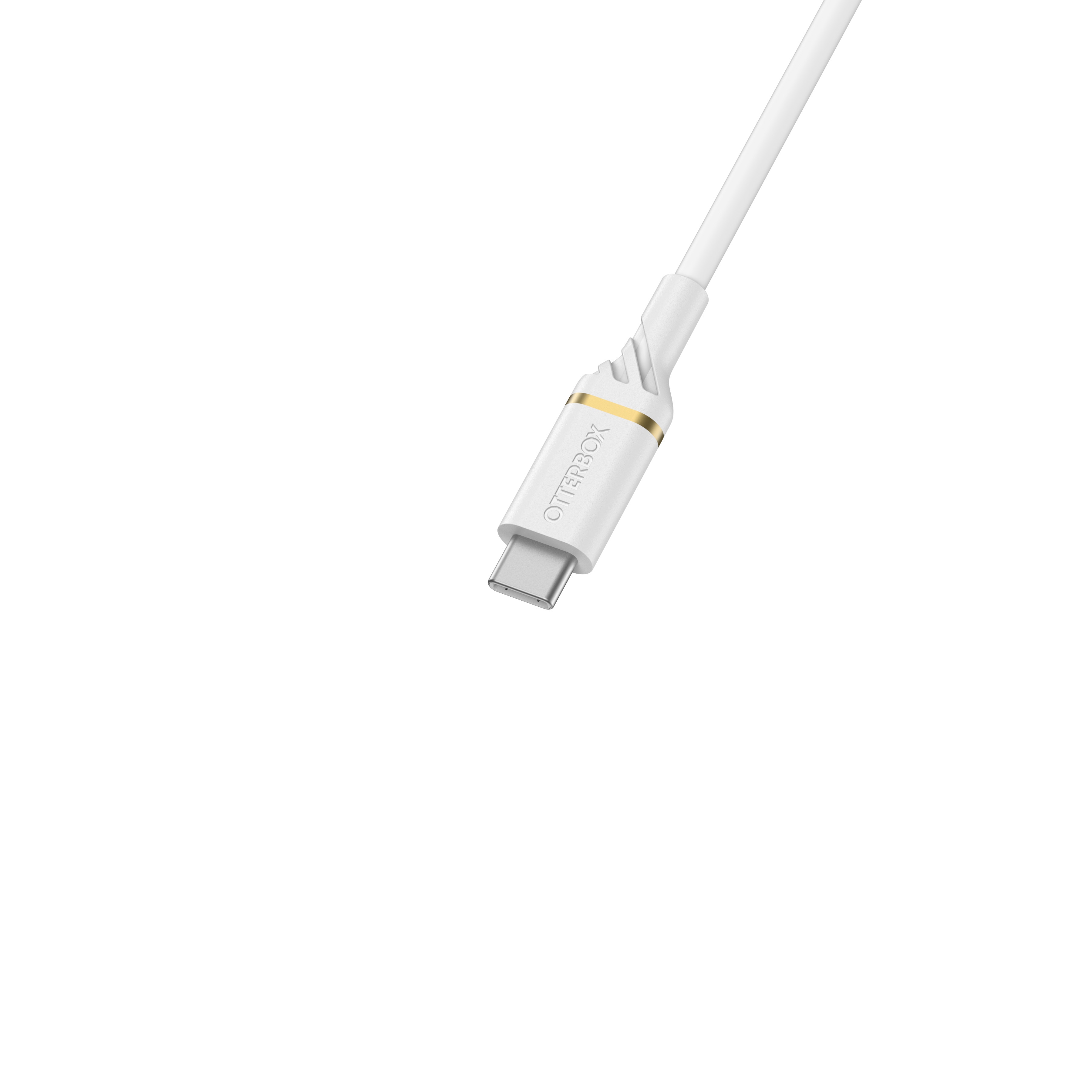 USB-C vers USB-C Câble 1 mètres Fast Charge, blanc