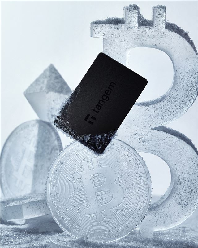 Crypto Hardware Wallet 3 Card set, noir