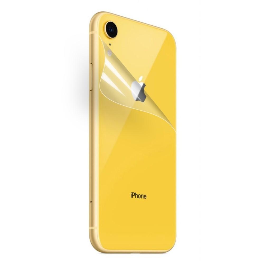 Film de protection pour le dos iPhone Xr